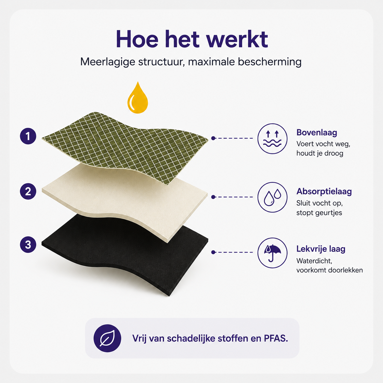 SlipSecure™ | Comfortabel Lekvrij Ondergoed | 3+2 GRATIS